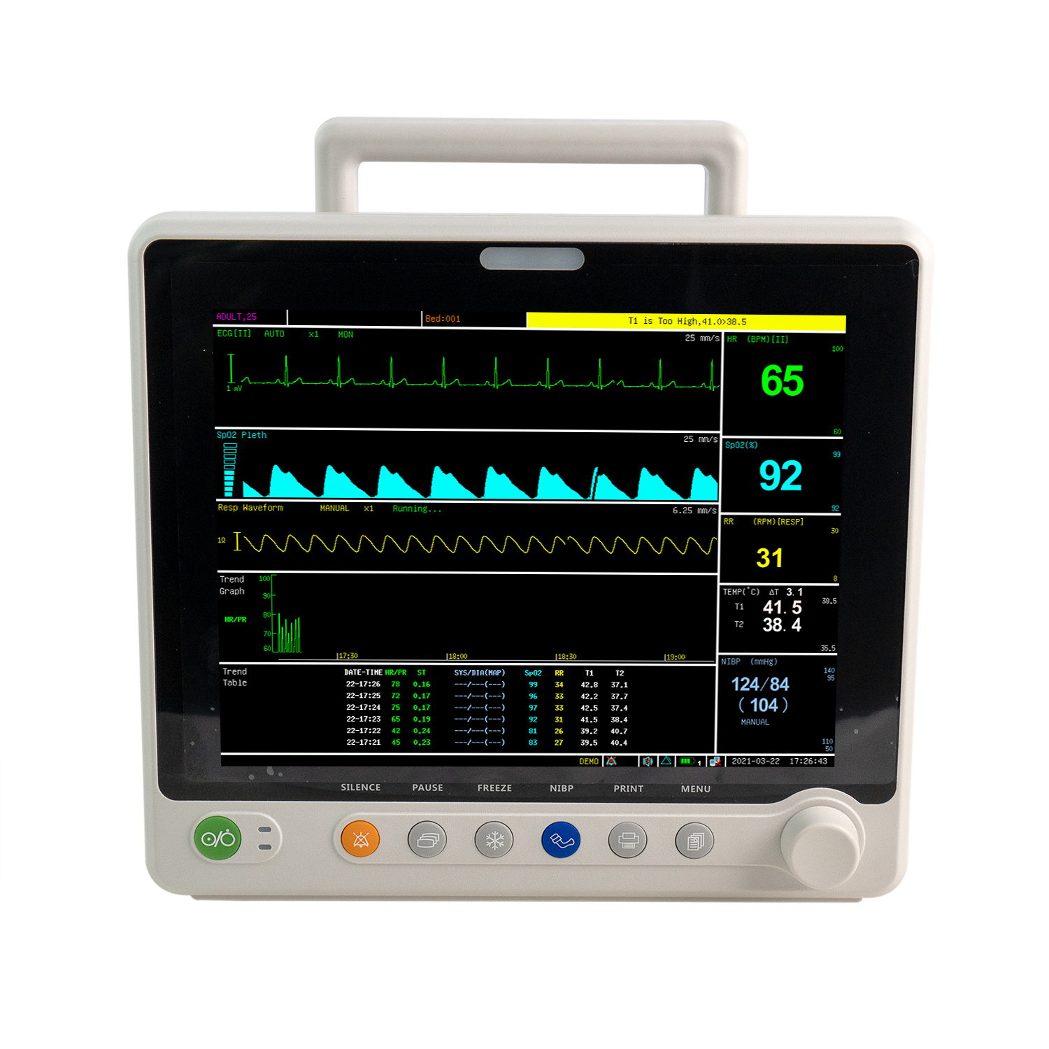 Manual PM6000.pdf